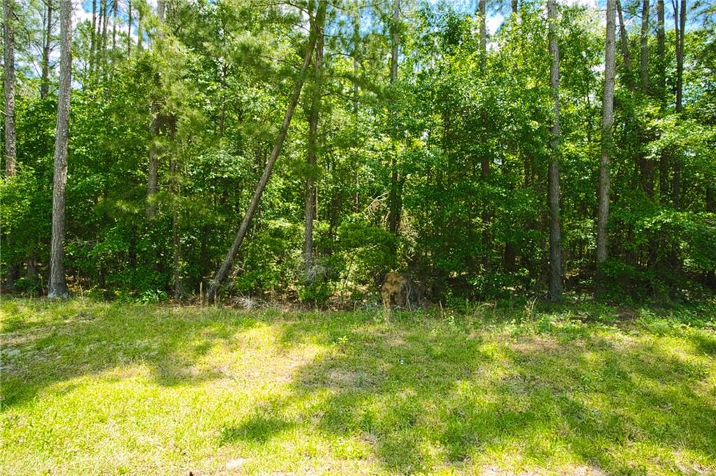 Pebble Hills Road, Cochran, Georgia image 5