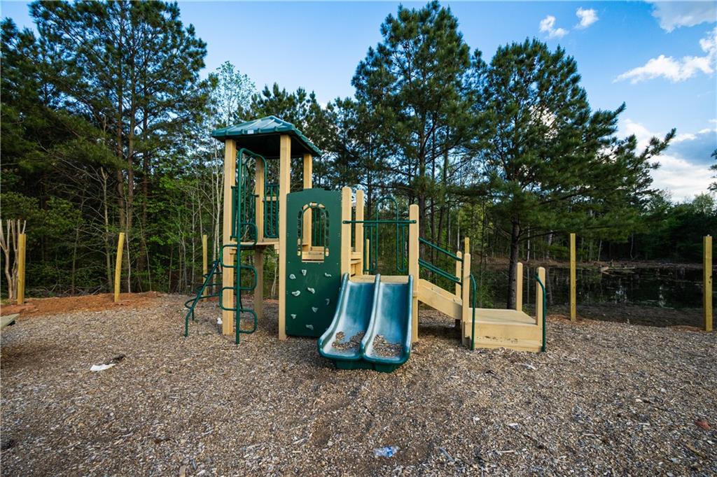 816 Royal Red Court, Mcdonough, Georgia image 43