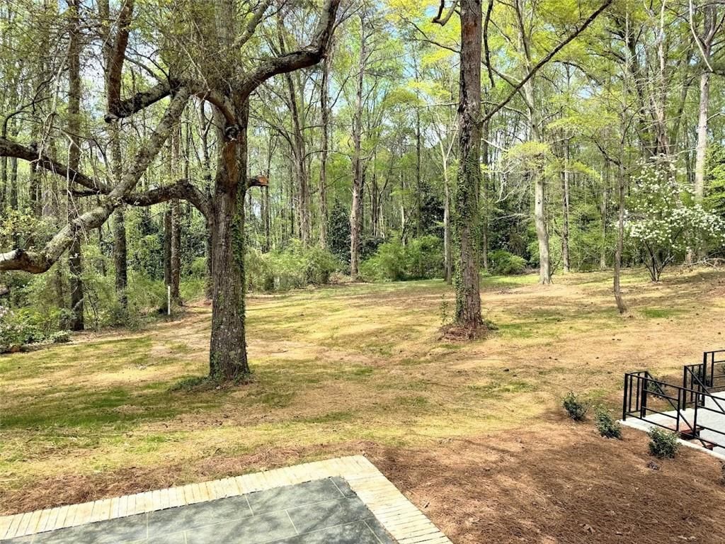 listing image 45
