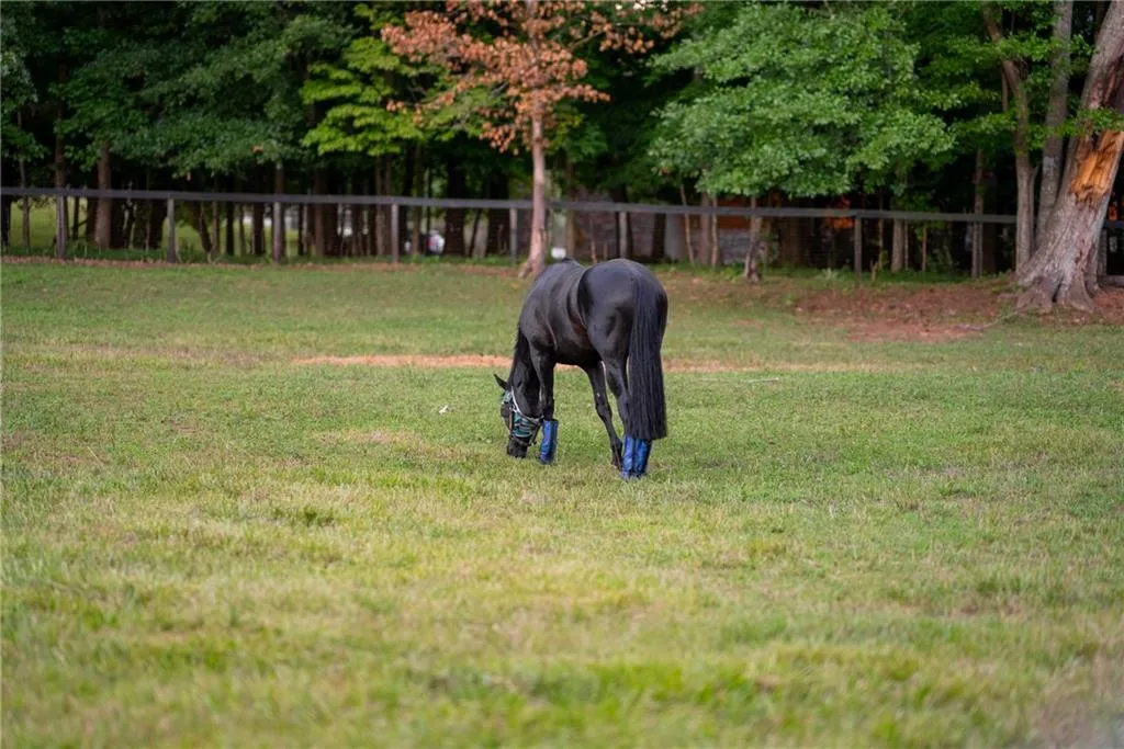 Milton, Georgia 30004, United States, 4 Bedrooms Bedrooms, ,4 BathroomsBathrooms,Residential,Contingent,51429