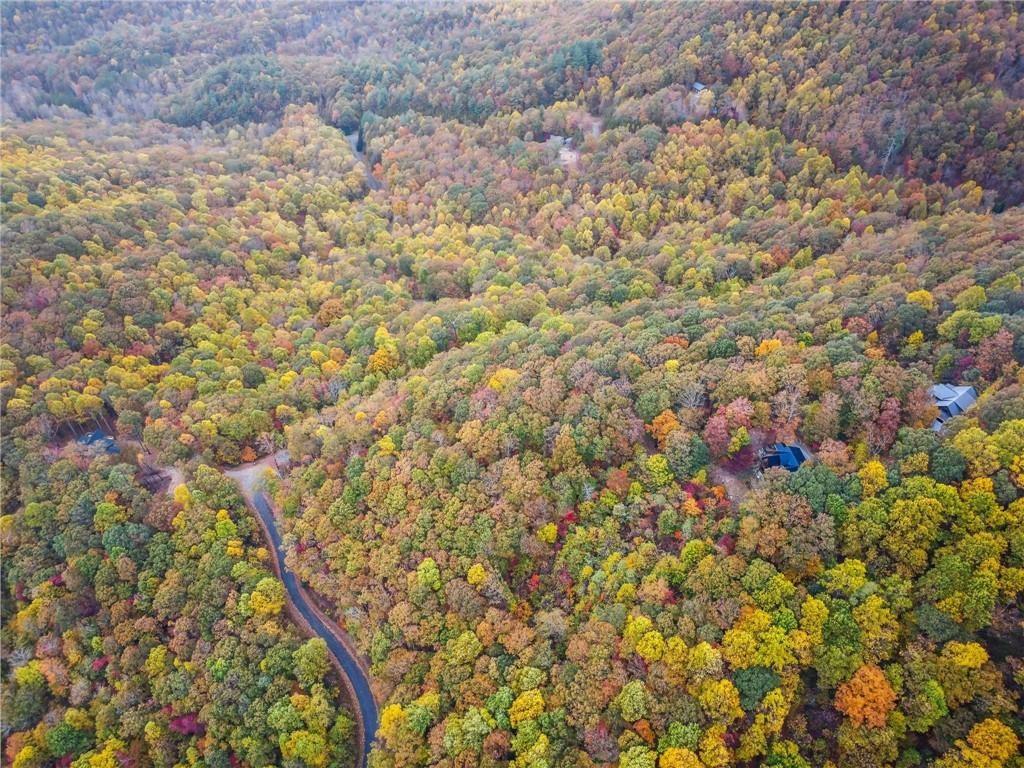 325 Prospectors Pass, Ellijay, Georgia image 18
