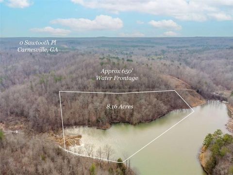 00 Sawtooth Place Carnesville GA 30521