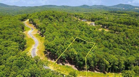 Vacant Land For Sale - Ridge Drive<br/> Morganton, GA 30560