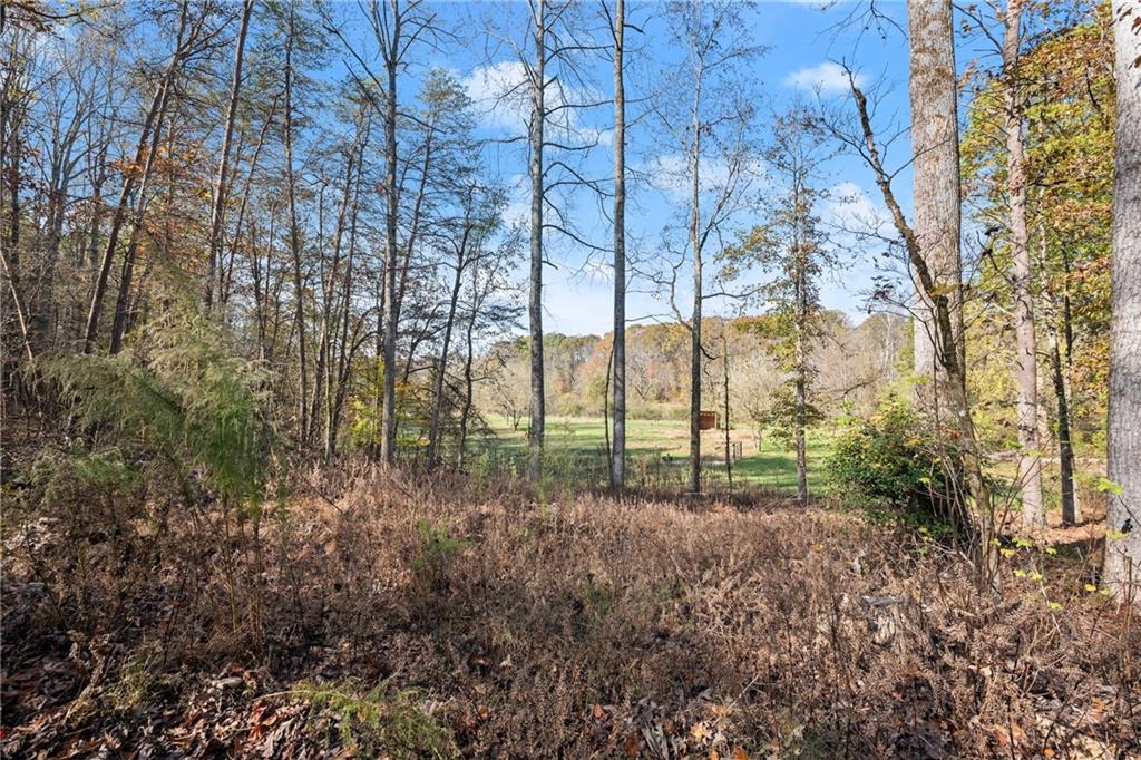 629 Crane Trail, Cleveland, Georgia image 29