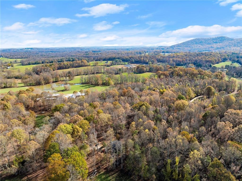 629 Crane Trail, Cleveland, Georgia image 40