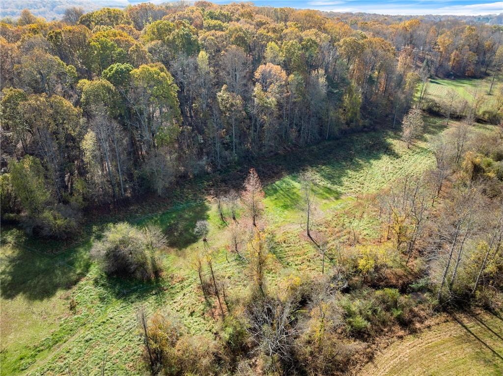 629 Crane Trail, Cleveland, Georgia image 37