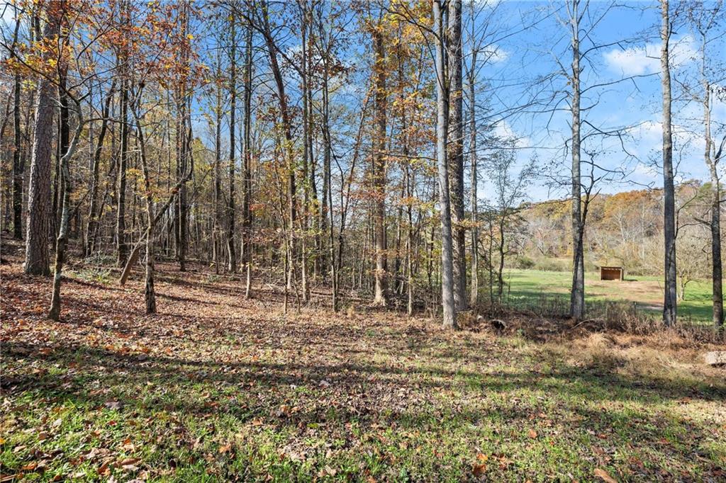 629 Crane Trail, Cleveland, Georgia image 28