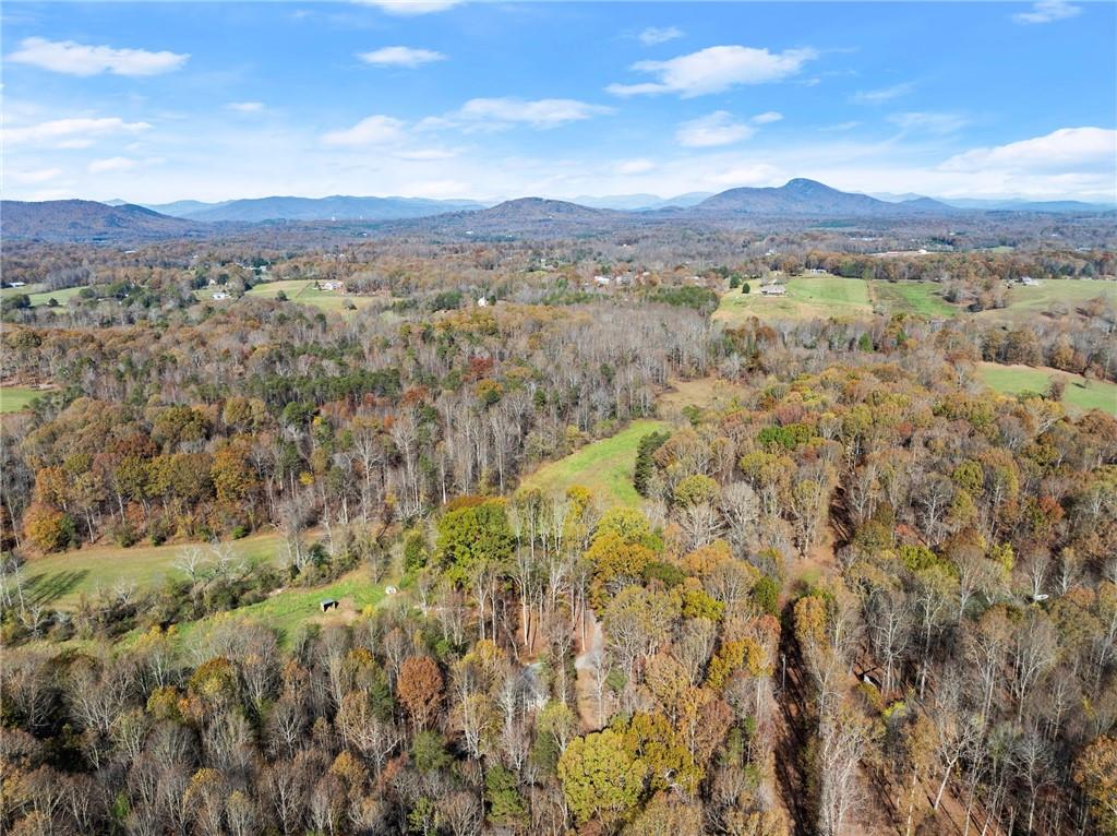 629 Crane Trail, Cleveland, Georgia image 46