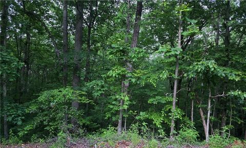 Vacant Land For Sale - Old Mckaskey Creek Road<br/> Cartersville, GA 30121