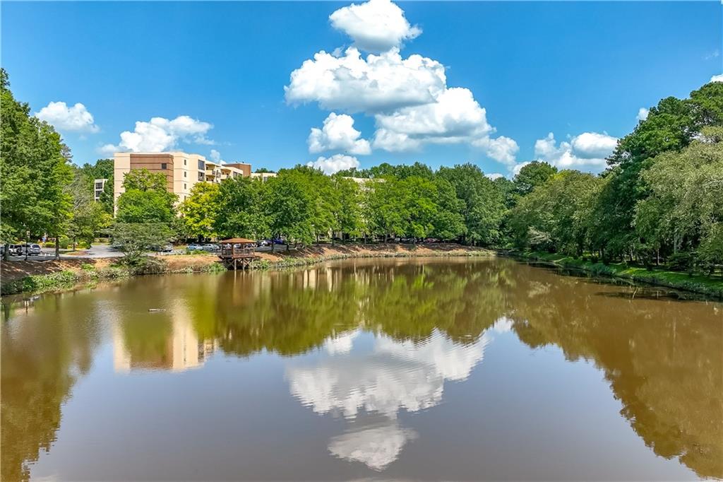 1800 Clairmont Lake #321, Decatur, Georgia image 44