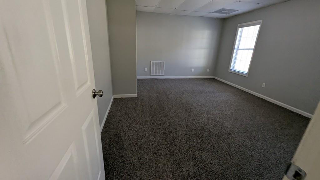 345 Cane Creek Drive, Stockbridge, Georgia image 40