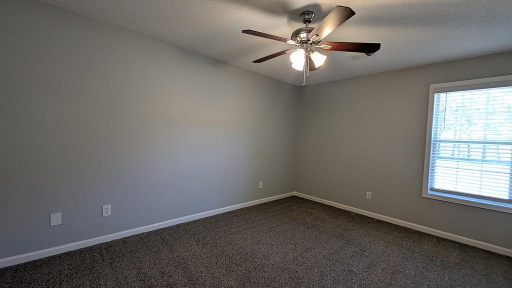 345 Cane Creek Drive, Stockbridge, Georgia image 35