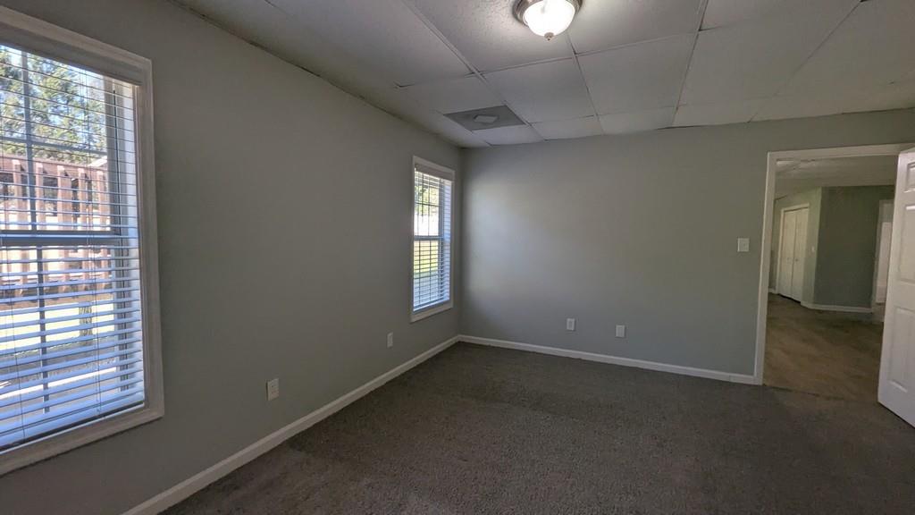 345 Cane Creek Drive, Stockbridge, Georgia image 42