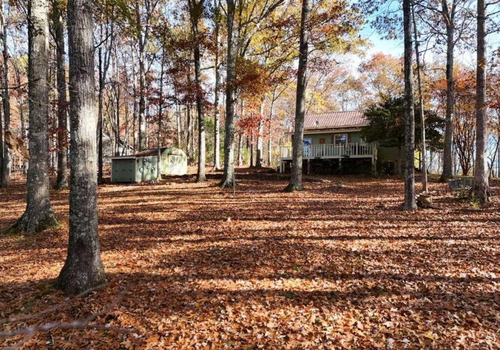 271 Mull Drive, Mineral Bluff, Georgia image 28
