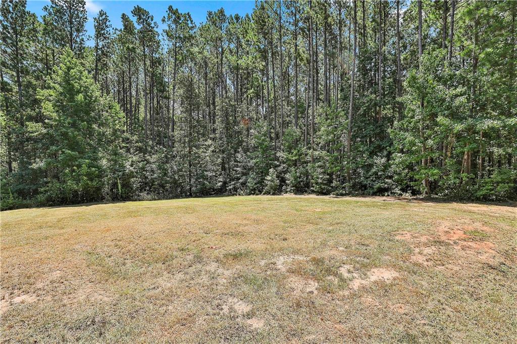 1807 McIntosh Trail