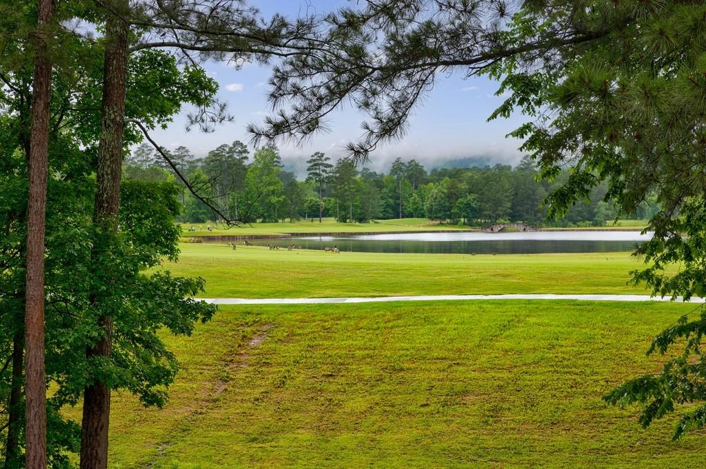 7 Hogan Lane, Rome, Georgia image 18