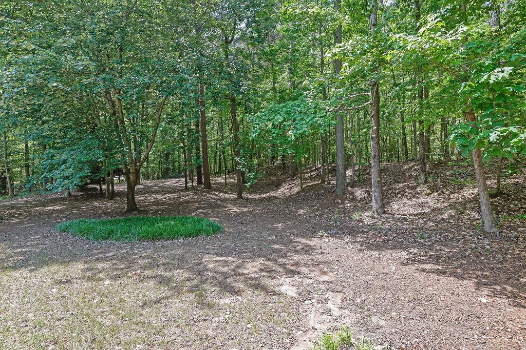 4810 Duncans Lake Drive, Buford, Georgia image 39