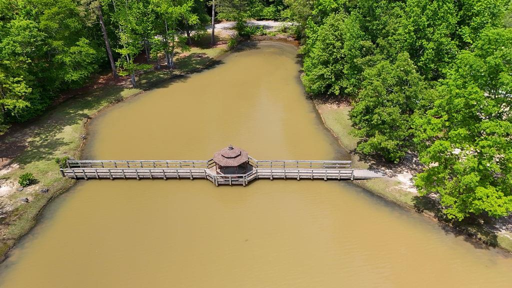 4810 Duncans Lake Drive, Buford, Georgia image 46