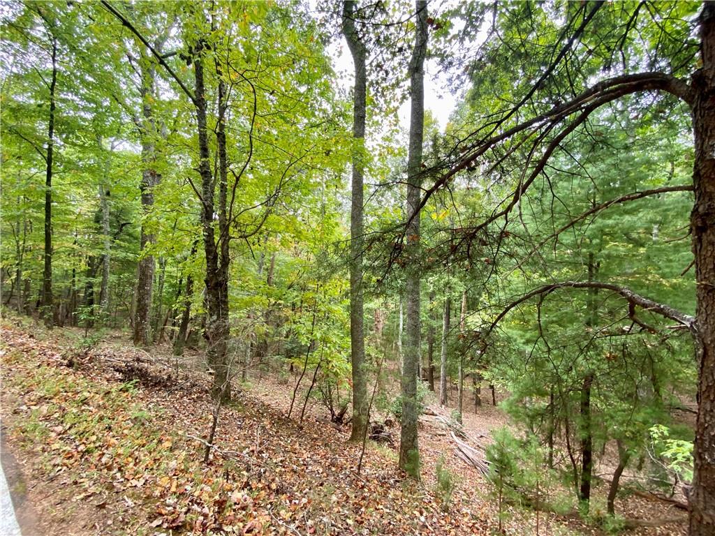 327 Grouse Gap Drive