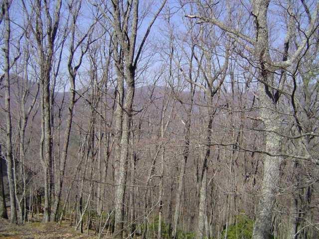 6A Buckeye Trail, Jasper, Georgia image 1