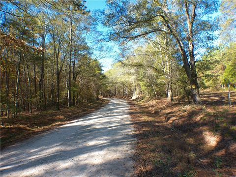 Vacant Land For Sale - Dusty Road<br/> Elbert County, Bowman, GA 30624