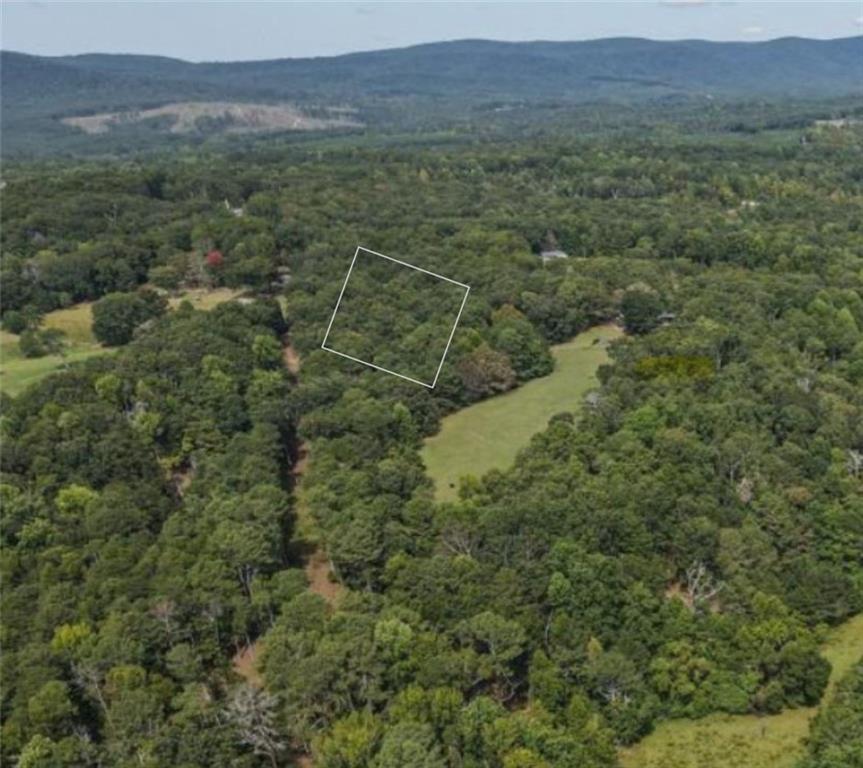 873 Pleasant Union Road, Canton, Georgia image 12