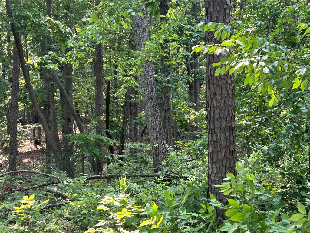 873 Pleasant Union Road
