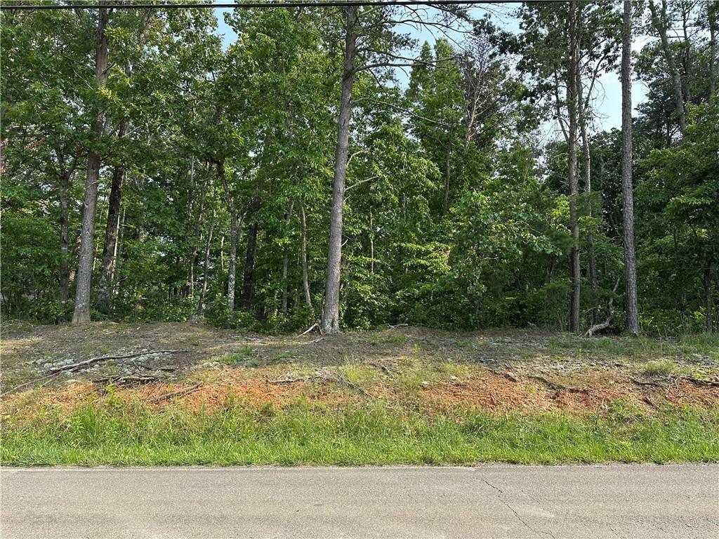 873 Pleasant Union Road, Canton, Georgia image 7