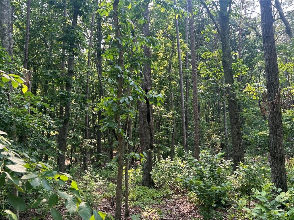 873 Pleasant Union Road
