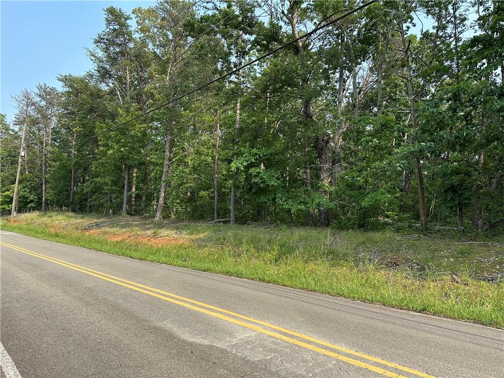 873 Pleasant Union Road, Canton, Georgia image 6
