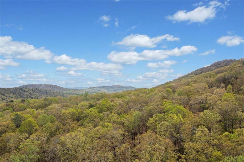 24 White Oak Knoll, Jasper, Georgia image 24