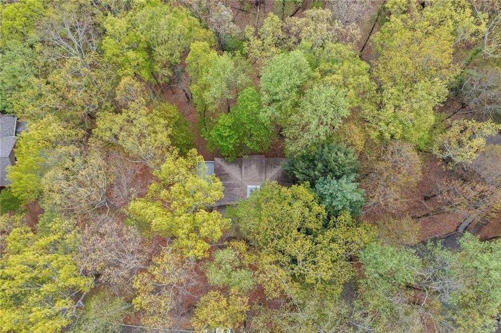 24 White Oak Knoll, Jasper, Georgia image 3
