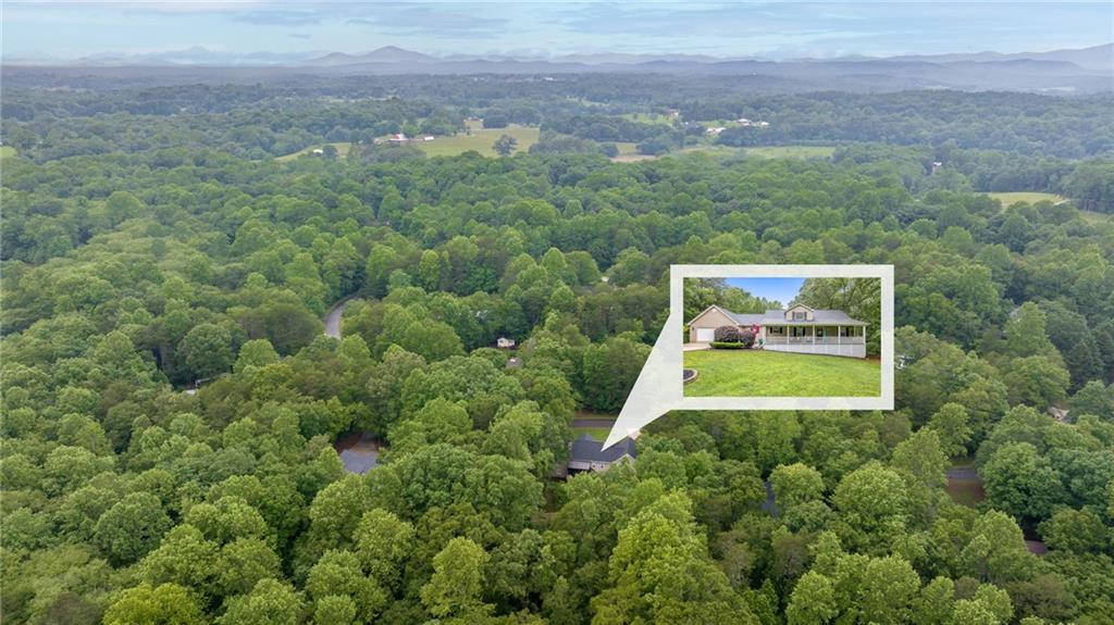 253 Grindstone Creek Drive, Clarkesville, Georgia image 50