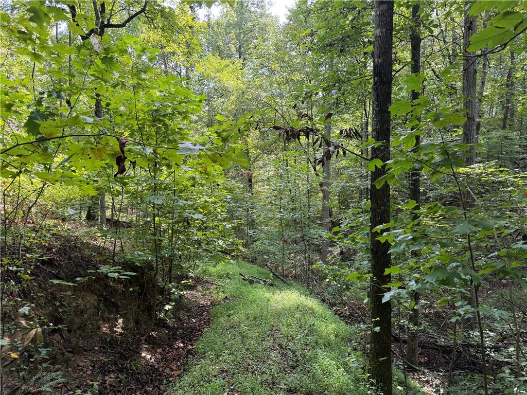 0 Fuller Mountain Road