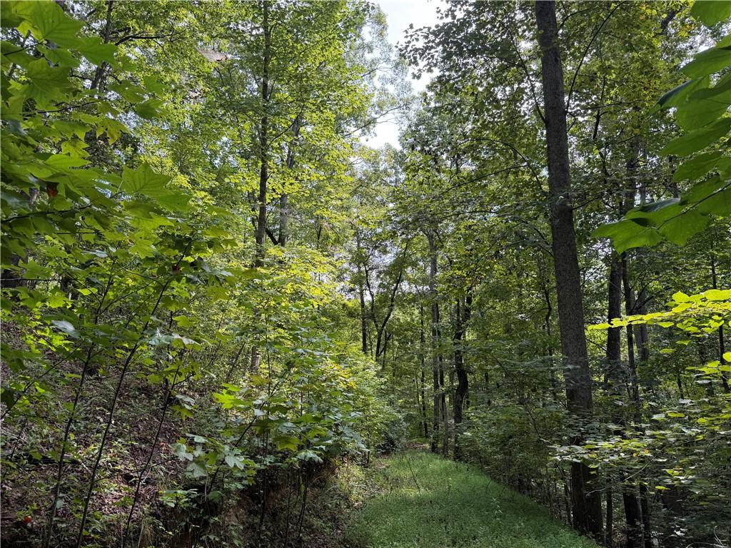 0 Fuller Mountain Road