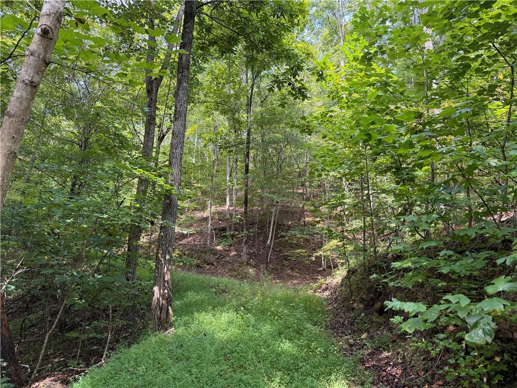 0 Fuller Mountain Road