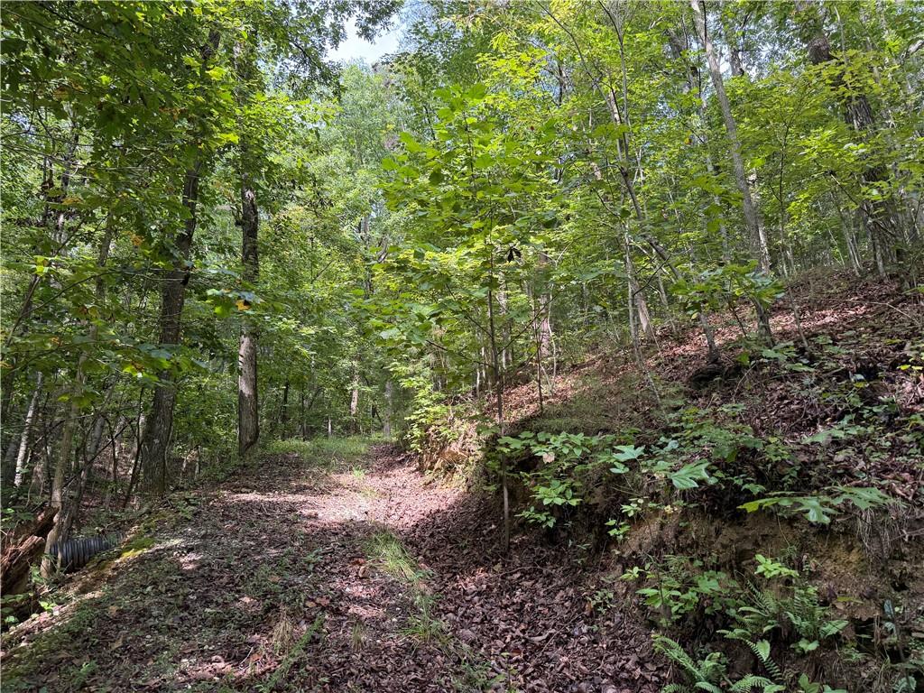 0 Fuller Mountain Road