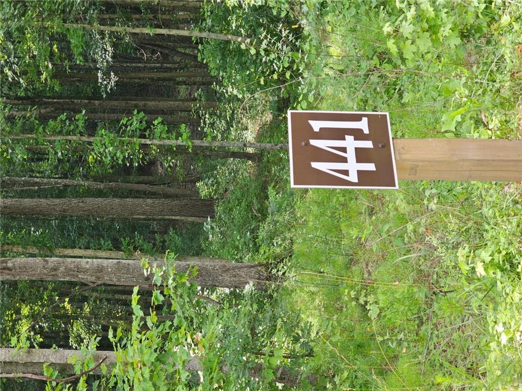 Hunting for your slice of the North Georgia Mountains? Here's an opportunity to get into a premier mountain community ... 1.51 beautifully wooded acres in the Vineyard at Yukon. If you're looking for an escape from the hustle and bustle of city life, this community offers the perfect blend of seclusion and access. You're just far enough from Ellijay and Talking Rock to feel completely surrounded by nature, but not so far that you're disconnected from necessary services or amenities. The lot itself has approximately 140 of paved road frontage, and is situated such that your trip home (from Ellijay, or any of the 3 wineries nearby) offers a slow drive through beautiful surroundings. It sits in a very quiet area, and the peace is palpable. The Vineyard at Yukon is a very large, gated community, with new homes going up throughout. It's proximity to Chateau Meichtry is a huge draw (and convenience). Close by but not quite next door are Ott's Vineyard and Winery and Buckley's Vineyards, and just a bit farther is Reece's Cidery. All these venues are extremely popular with the locals, and it's all back roads home. Ellijay and Talking Rock are known for their breathtaking landscapes, and living in The Vineyard at Yukon means you'll wake up to lush forests and rolling hills, with sweeping mountain views here and there throughout the community. The area is particularly renowned for its vibrant fall foliage and peaceful, outdoor lifestyle. Whether you're into hiking, mountain biking, kayaking, canoeing, tubing, cruising the community in your golf cart, or simply enjoying a quiet afternoon in your backyard, nature will be your constant companion. In today's vernacular, both Ellijay and Talking Rock are a "vibe", and this is a great opportunity to become a part of it.