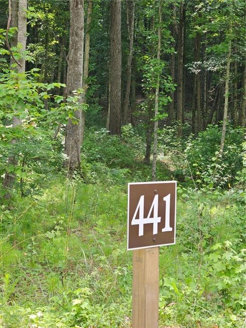 Vacant Land For Sale - Twisted Oak Road<br/> Talking Rock, GA 30536