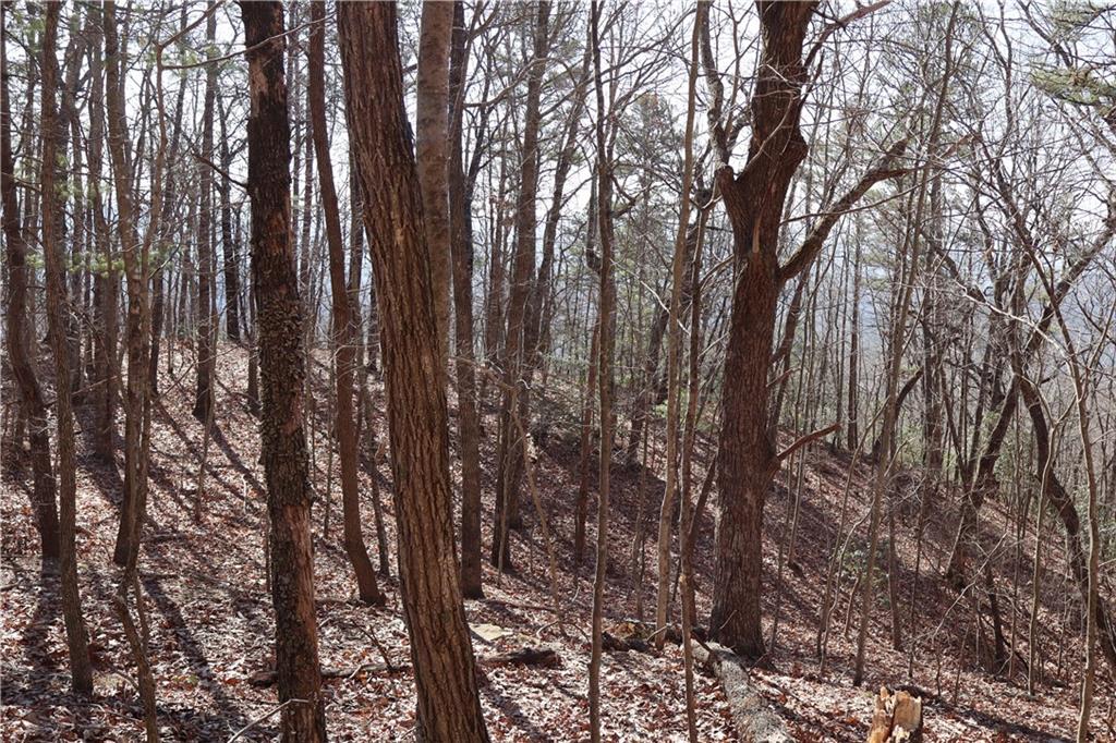 00 Arrowhead Drive, Mineral Bluff, Georgia image 3