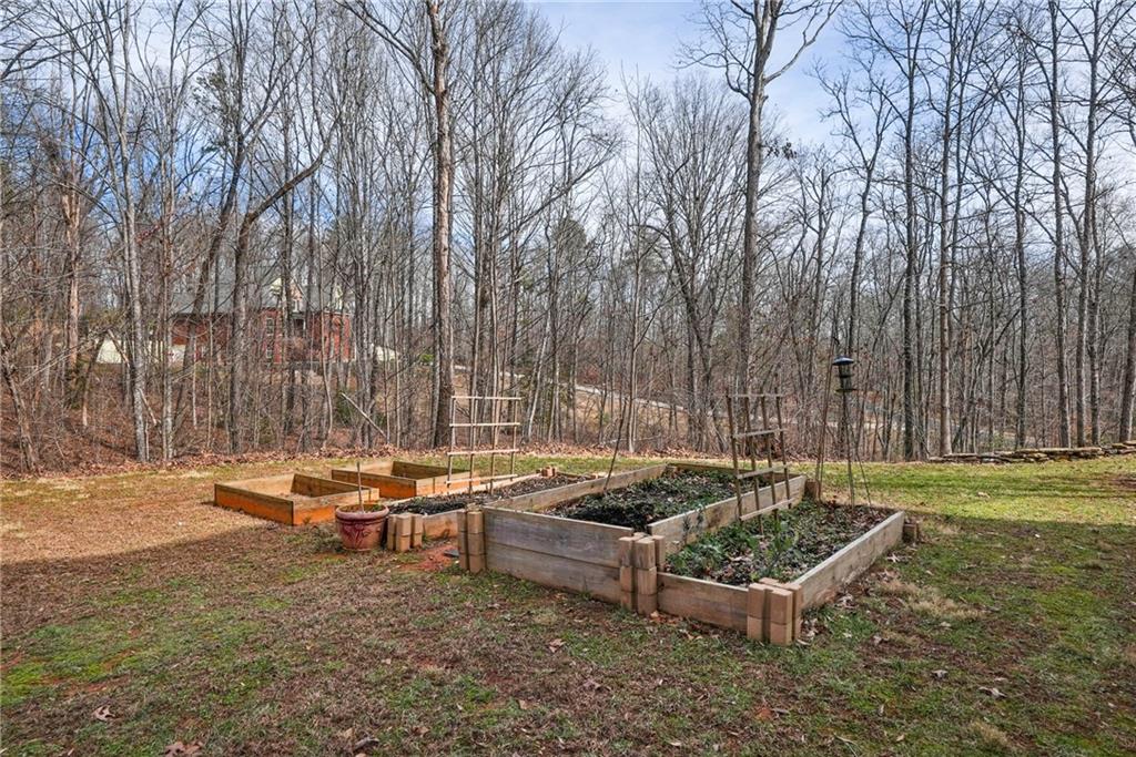 325 Shoals Lane, Clarkesville, Georgia image 24