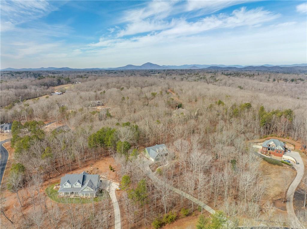 325 Shoals Lane, Clarkesville, Georgia image 47