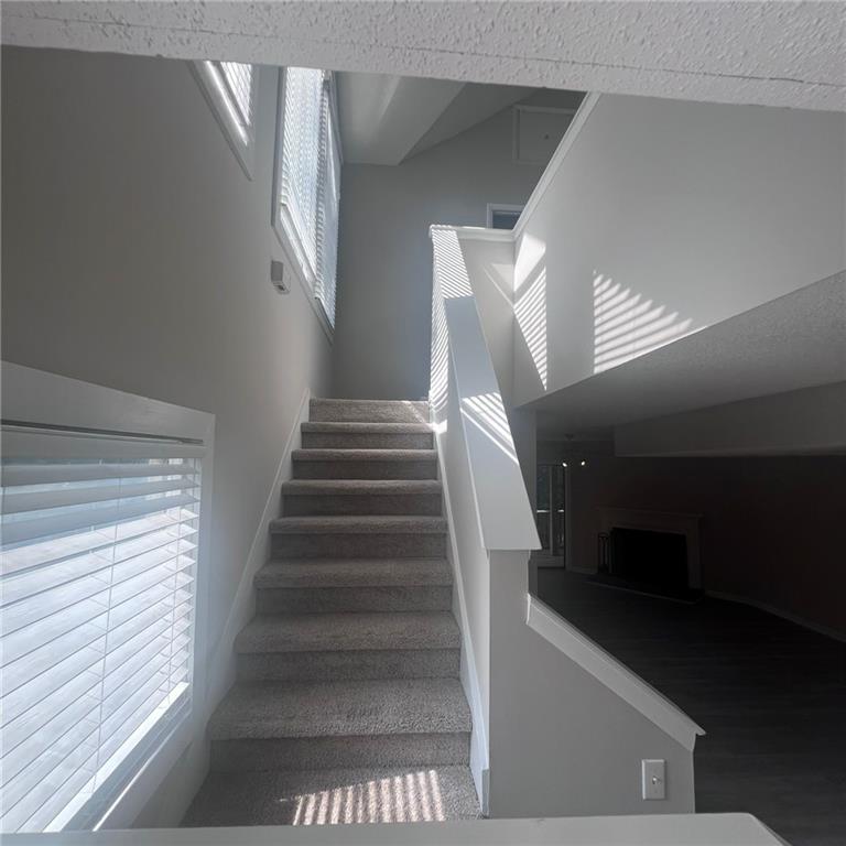 Steeplechase - Residential Lease