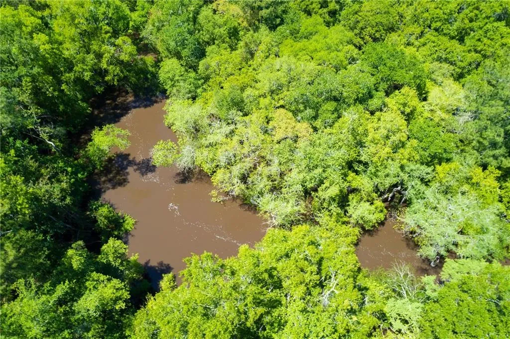 Valdosta, Georgia 31605, United States, 5 Bedrooms Bedrooms, ,7 BathroomsBathrooms,Residential,Active,59791