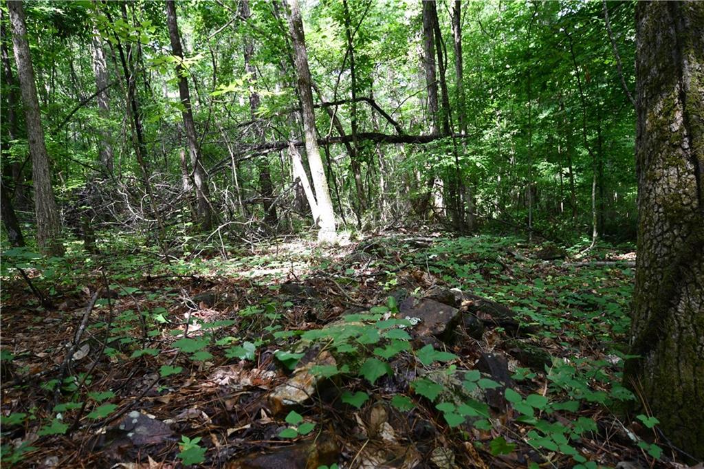 00001 Hutcheson Road, Buchanan, Georgia image 35