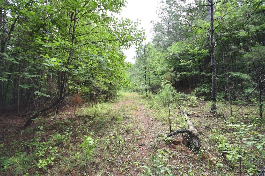 00001 Hutcheson Road, Buchanan, Georgia image 15