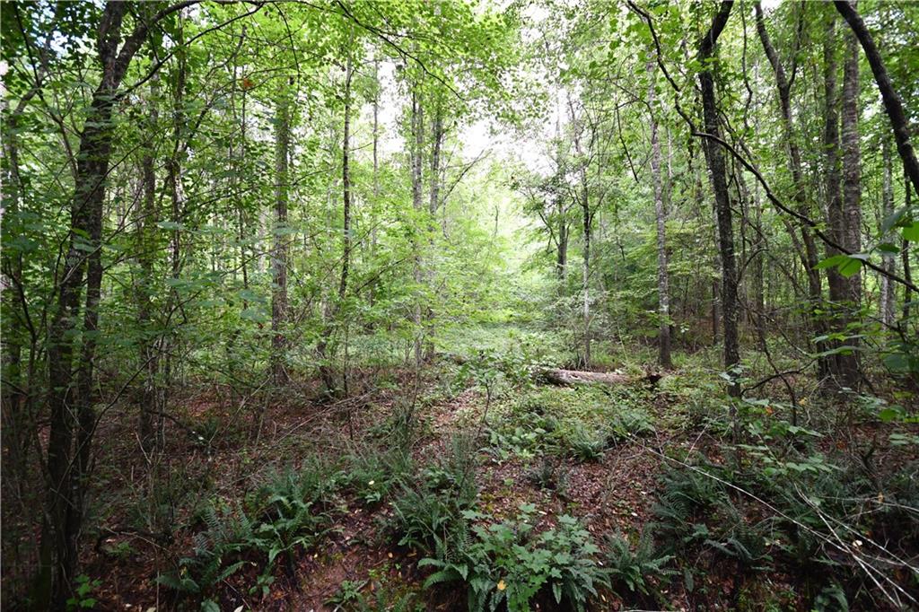 00001 Hutcheson Road, Buchanan, Georgia image 16