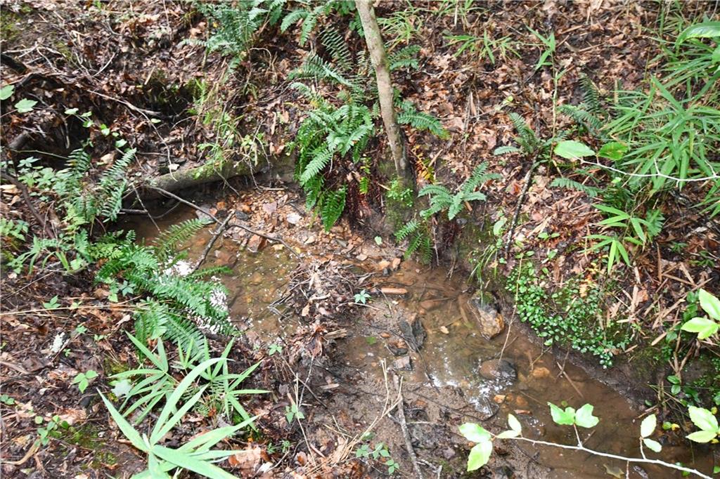 00001 Hutcheson Road, Buchanan, Georgia image 32