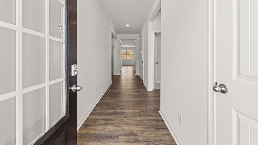 381 Belmont Drive