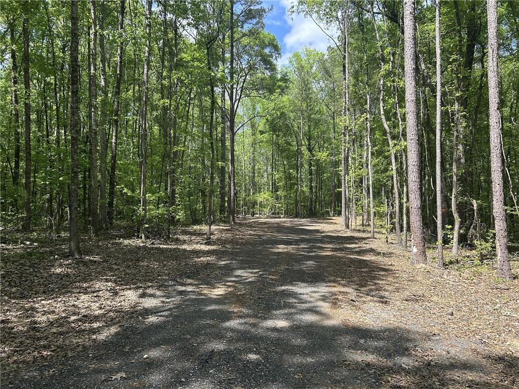 5002 Alvaton Road, Gay, Georgia image 25